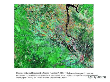 Южные районы Иркутской области. (Landsat-7 ETM+) Цифрами обозначены: 1 – участки травянисто- кустарниковой растительности лесостепной зоны. 2 – участки.