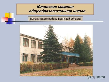 Выгоничского района Брянской области Кокинская средняя общеобразовательная школа.