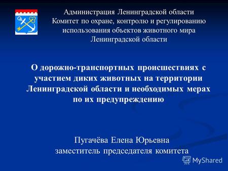 Администрация Ленинградской области Комитет по охране, контролю и регулированию использования объектов животного мира Ленинградской области Пугачёва Елена.