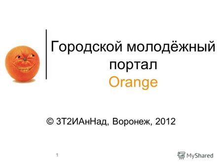 1 Городской молодёжный портал Orange © 3Т2ИАнНад, Воронеж, 2012.