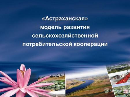 «Астраханская» модель развития сельскохозяйственной потребительской кооперации.