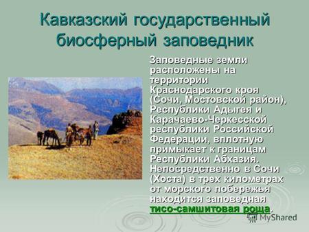 Кавказский государственный биосферный заповедник Заповедные земли расположены на территории Краснодарского кроя (Сочи, Мостовской район), Республики Адыгея.
