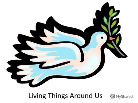 Living Things Around Us. Цель урока: совершенствовать навыки восприятия общего содержания текста по теме « Живые существа вокруг нас», проверка уровня.