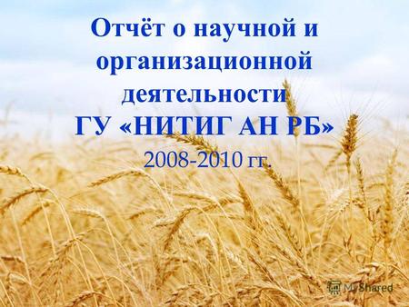 Отчёт о научной и организационной деятельности ГУ « НИТИГ АН РБ » 2008-2010 гг.
