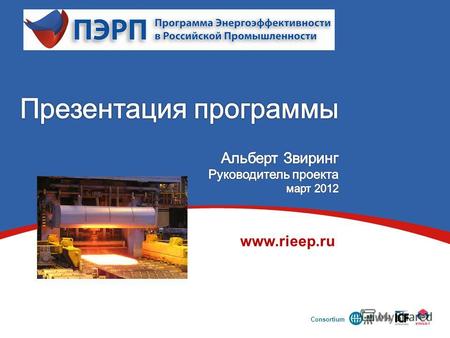 Consortium www.rieep.ru. Структура презентации Программа; Почему ПЭРП? Программные продукты и услуги; Участие в программе. 2.