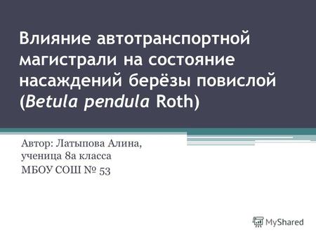 Влияние автотранспортной магистрали на состояние насаждений берёзы повислой (Betula pendula Roth) Автор: Латыпова Алина, ученица 8а класса МБОУ СОШ 53.