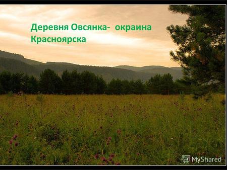 Деревня Овсянка- окраина Красноярска. Обилие природных красот поражает как приезжих так и местных жителей…