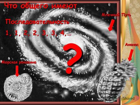 Что общего имеют Млечный Путь Морская раковина Ананас Последовательность 1, 1, 2, 2, 3, 3, 4,… ??