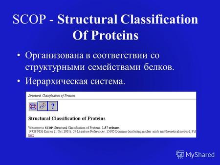 SCOP - Structural Classification Of Proteins Организована в соответствии со структурными семействами белков. Иерархическая система.