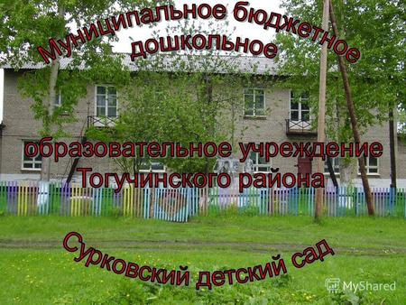 Муниципальное бюджетное дошкольное образовательное учреждение Тогучинского района Сурковский детский сад было образовано в 1968 году на базе совхоза «Сурковский»,