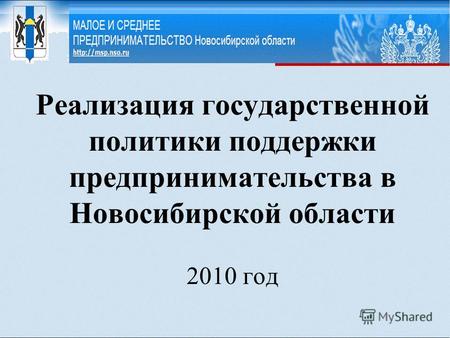 Реализация государственной политики поддержки предпринимательства в Новосибирской области 2010 год.