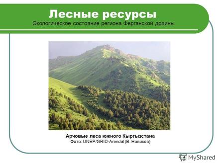 Лесные ресурсы Экологическое состояние региона Ферганской долины Арчовые леса южного Кыргызстана Фото: UNEP/GRID-Arendal (В. Новиков)