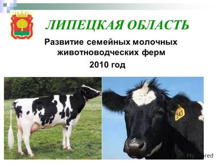 ЛИПЕЦКАЯ ОБЛАСТЬ Развитие семейных молочных животноводческих ферм 2010 год.