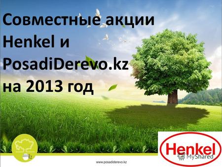 Совместные акции Henkel и PosadiDerevo.kz на 2013 год.