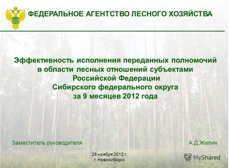 ФЕДЕРАЛЬНОЕ АГЕНТСТВО ЛЕСНОГО ХОЗЯЙСТВА Эффективность исполнения переданных полномочий в области лесных отношений субъектами Российской Федерации Сибирского.