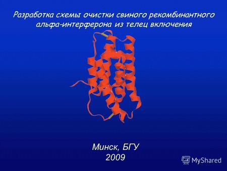 Минск, БГУ 2009 Разработка схемы очистки свиного рекомбинантного альфа-интерферона из телец включения.