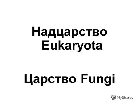 Надцарство Eukaryota Царство Fungi. Отдел Chytridiomycota.