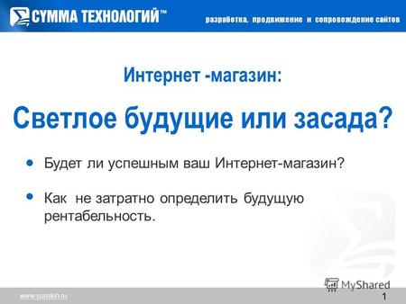 Www.sumteh.ru 1 Интернет -магазин: Cветлое будущие или засада? Будет ли успешным ваш Интернет-магазин? Как не затратно определить будущую рентабельность.
