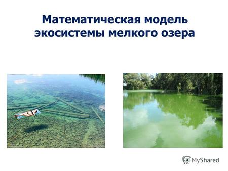 Математическая модель экосистемы мелкого озера. PClake – экологическая модель мелкого озера, описывающая фитопланктон, высшую растительность и простую.