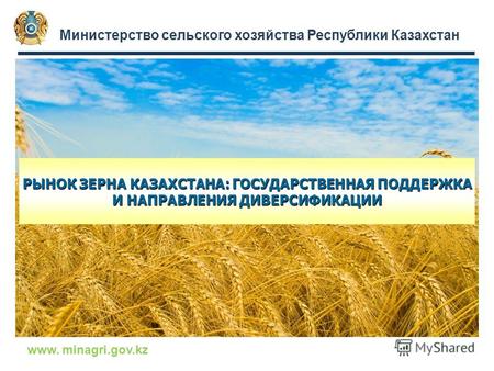 Министерство сельского хозяйства Республики Казахстан www. minagri.gov.kz РЫНОК ЗЕРНА КАЗАХСТАНА: ГОСУДАРСТВЕННАЯ ПОДДЕРЖКА И НАПРАВЛЕНИЯ ДИВЕРСИФИКАЦИИ.