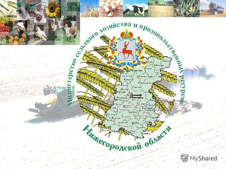 Малые формы хозяйствования Нижегородской области Личных подсобных хозяйств – 554 300 Крестьянских (фермерских) хозяйств – 3 120 Сельскохозяйственных потребительских.
