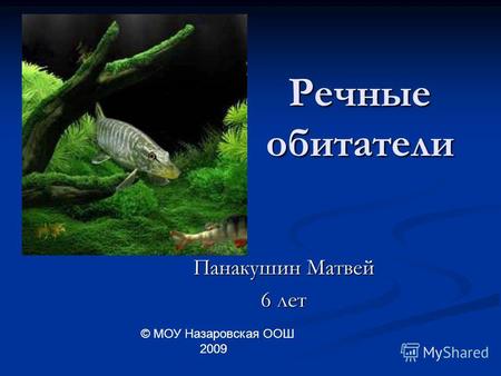 Речные обитатели Панакушин Матвей 6 лет © МОУ Назаровская ООШ 2009.