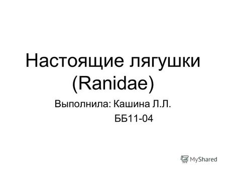 Настоящие лягушки (Ranidae) Выполнила: Кашина Л.Л. ББ11-04.