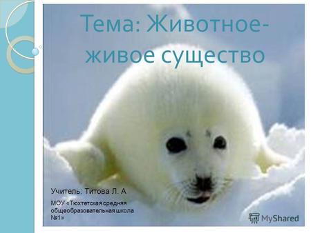 Тема : Животное - живое существо Учитель: Титова Л. А МОУ «Тюхтетская средняя общеобразовательная школа 1»