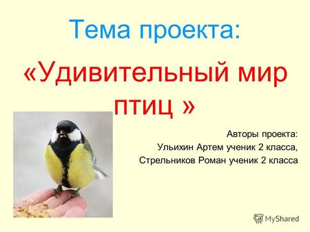 Тема проекта: «Удивительный мир птиц » Авторы проекта: Ульихин Артем ученик 2 класса, Стрельников Роман ученик 2 класса.