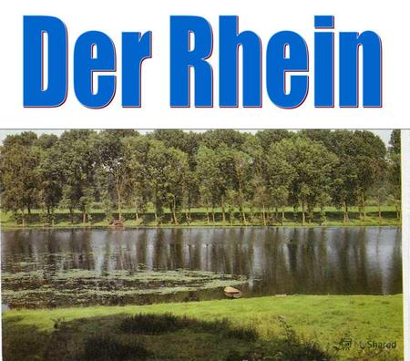 Der Rhein ist der Größte Fluss Deutschlands.Er ist ein typischer Hochgebirgsfluss.