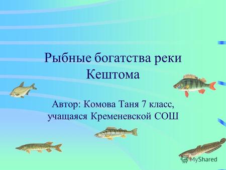 Рыбные богатства реки Кештома Автор: Комова Таня 7 класс, учащаяся Кременевской СОШ.