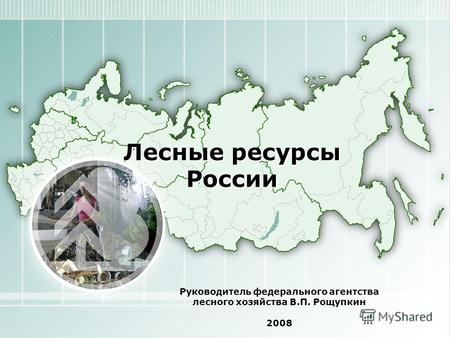 Лесные ресурсы России Руководитель федерального агентства лесного хозяйства В.П. Рощупкин 2008.