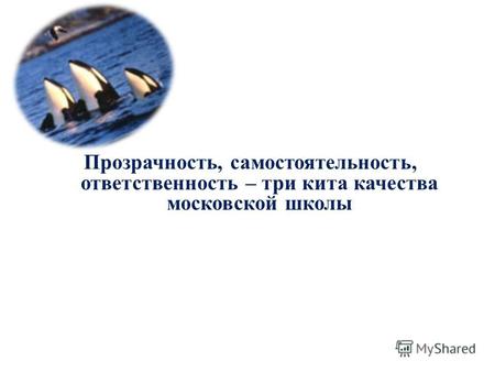 Прозрачность, самостоятельность, ответственность – три кита качества московской школы.