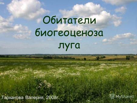 Обитатели биогеоценоза луга Тарханова Валерия, 2008г.