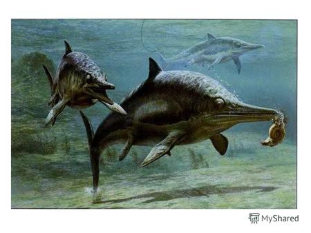 Морские рептилии. Спиноэквалис. Карбон (360-286 млн лет назад) Говазавр Пермский период (286-248 млн лет назад)