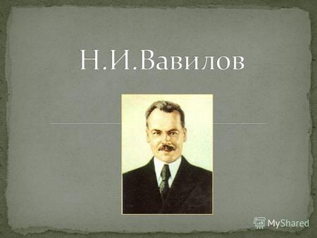 Вавилов был крупным организатором советской науки. Под его руководством (с 1920) сравнительно небольшое научное учреждение - Бюро по прикладной ботанике.
