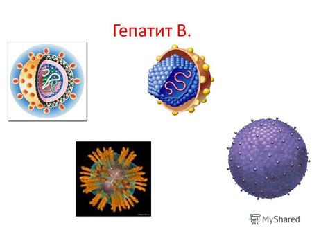 Гепатит В. Как можно заразиться вирусом гепатита В? Половым путем; от матери к ребенку при рождении; контакт с кровью зараженного человека; пользование.