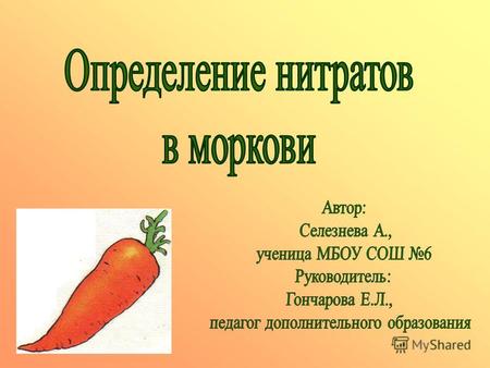 Особая ценность моркови состоит в высоком содержании провитамина А.