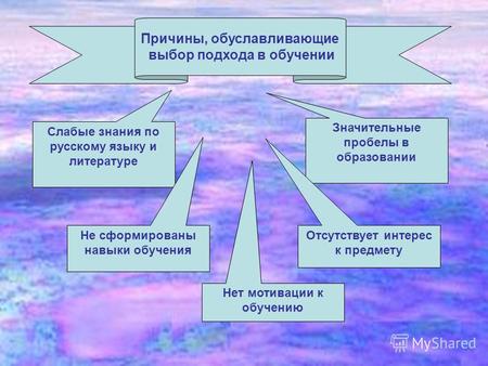 Причины, обуславливающие выбор подхода в обучении Слабые знания по русскому языку и литературе Значительные пробелы в образовании Не сформированы навыки.