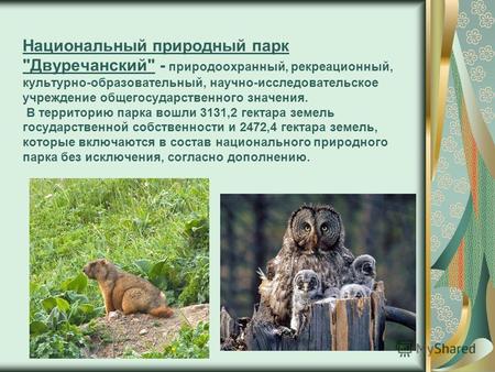 Национальный природный парк Двуречанский - природоохранный, рекреационный, культурно-образовательный, научно-исследовательское учреждение общегосударственного.