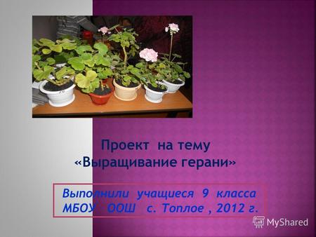 Проект на тему «Выращивание герани» Выполнили учащиеся 9 класса МБОУ ООШ с. Топлое, 2012 г.