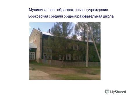 Муниципальное образовательное учреждение Борковская средняя общеобразовательная школа.