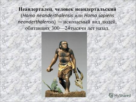 Неандерта́лец, человек неандертальский (Homo neanderthalensis или Homo sapiens neanderthalensis) ископаемый вид людей, обитавших 30024тысячи лет назад.