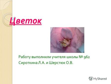 Цветок Работу выполнили учителя школы 962 Сироткина Л. А. и Шерстюк О. В.