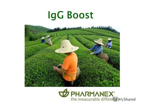 IgG Boost Здоровье человека Философия продукта Груз «жизненных» проблем постоянный стресс.