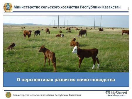 Министерство сельского хозяйства Республики Казахстан www. minagri.gov.kz 1 О перспективах развития животноводства Министерство сельского хозяйства Республики.