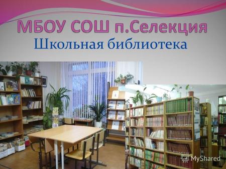 Школьная библиотека. «Сегодня именно школьные библиотеки способны стать авторитетными центрами просвещения и досуга молодежи, а потому важно придать им.