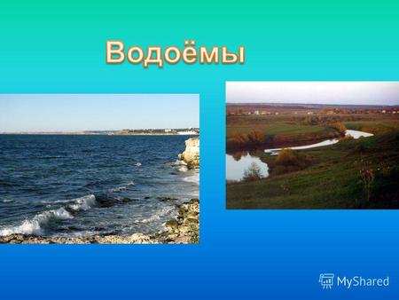 Какие бывают водоемы Не проедешь, не пройдешь – Обойдешь сторонкой. И водицы не попьешь С синеватой пленкой. Болото.