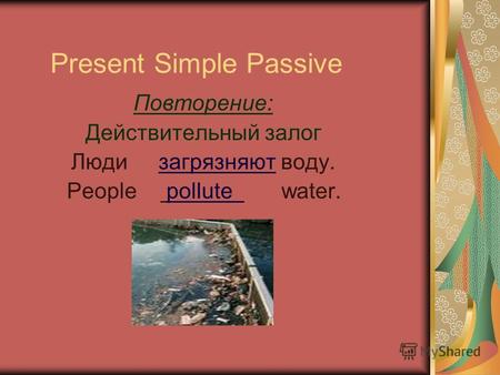Present Simple Passive Повторение: Действительный залог Люди загрязняют воду. People pollute water.