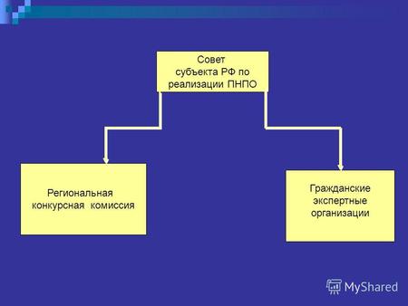 Совет субъекта РФ по реализации ПНПО Региональная конкурсная комиссия Гражданские экспертные организации.